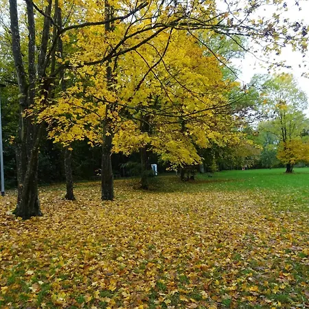 In Mit Fruehstueck Inklusive Apartman