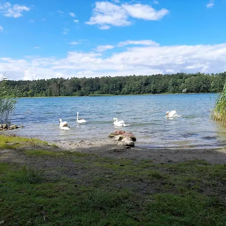 In Mit Fruehstueck Inklusive Apartman Strausberg