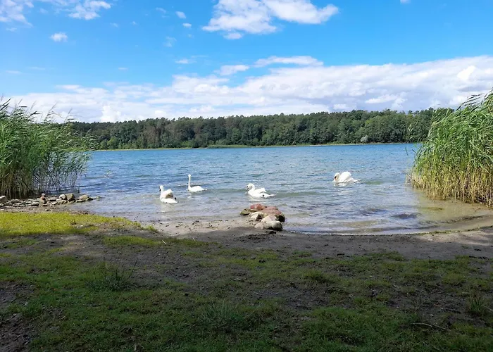 In Mit Fruehstueck Inklusive Apartment Strausberg